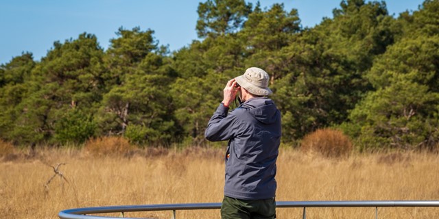 De Mooiste Wandelroutes Friesland Wandelroute Fochteloërveen Uitkijktoren De Zeven