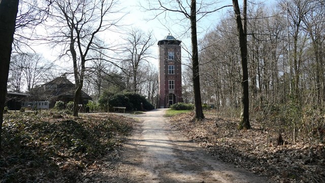 afbeelding van een kaal bos met een uitkijktoren in het midden.