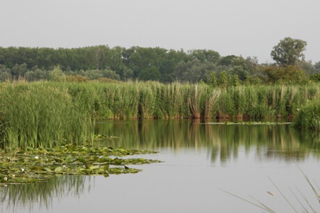 De Blankaart (Afbeelding: Sabine Raeckelboom)