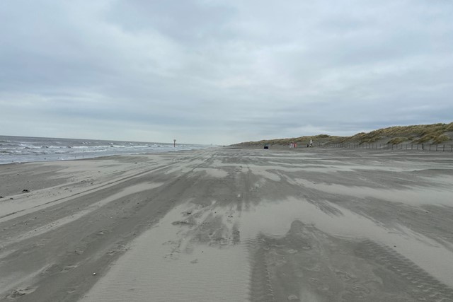 afbeelding van het strand.