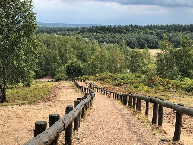 Uitzicht vanaf het Gelukkigerwijspad bij Rhenen