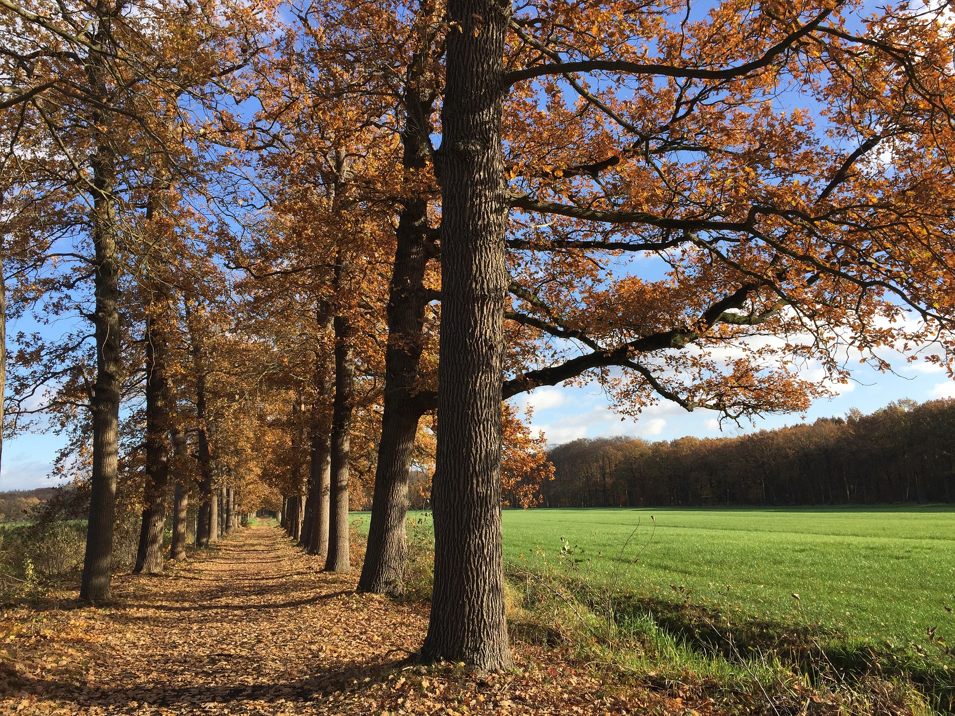 Utrecht Wandelroute Met Reuma (1)