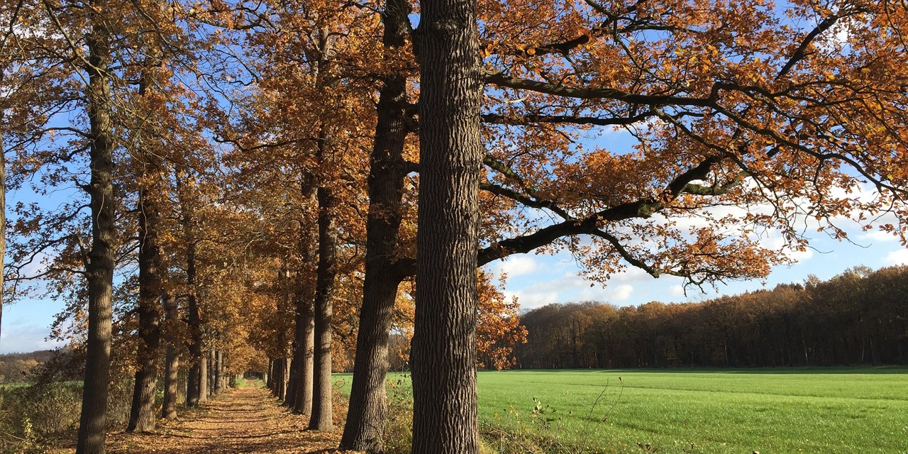 Utrecht Wandelroute Met Reuma (1)