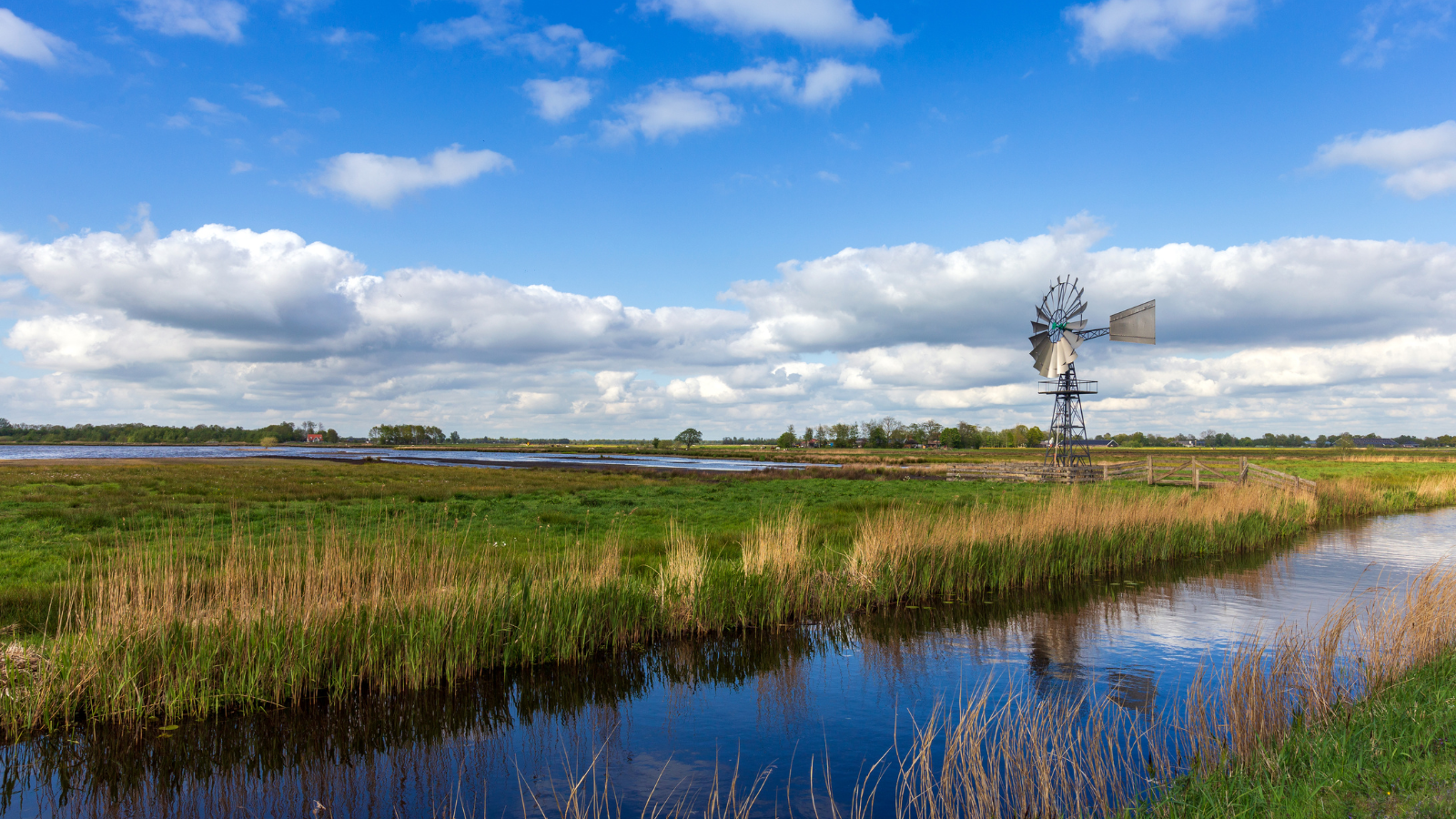 Wandelroute NP De Alde Feanen De Alde Feanen