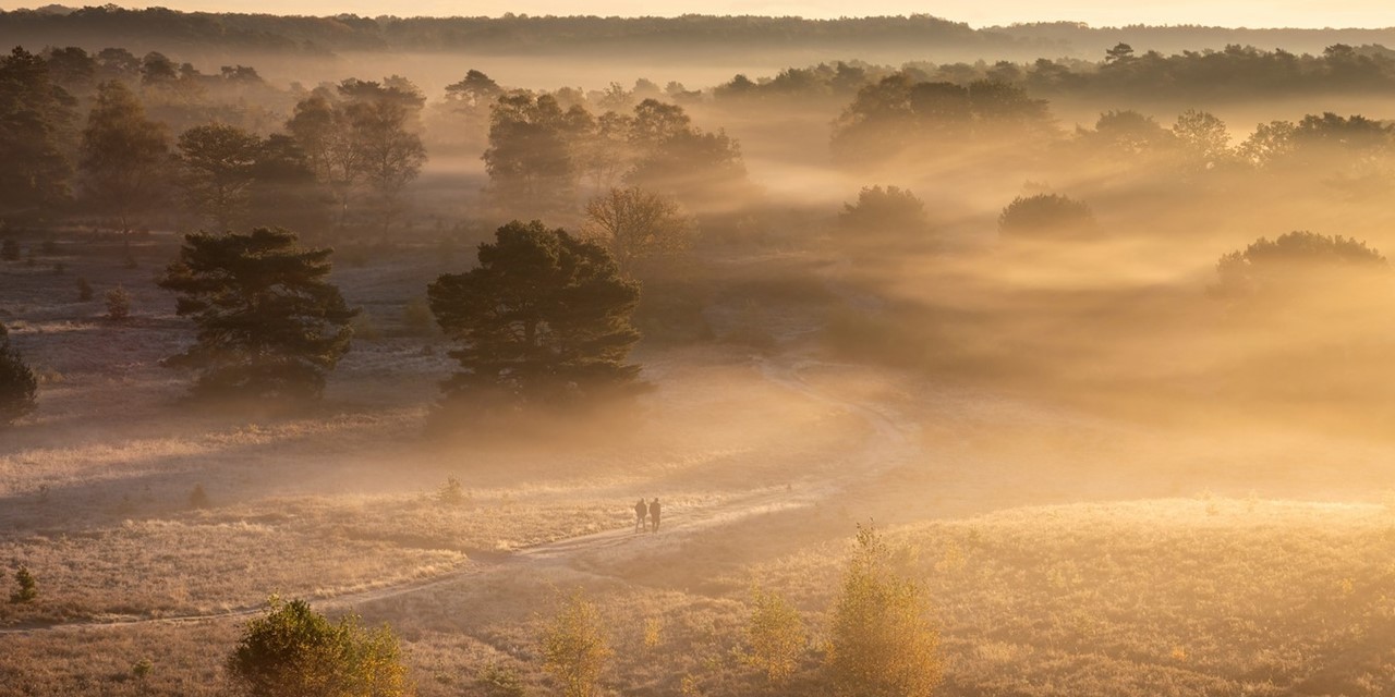 afbeelding van een landschap in de mist.