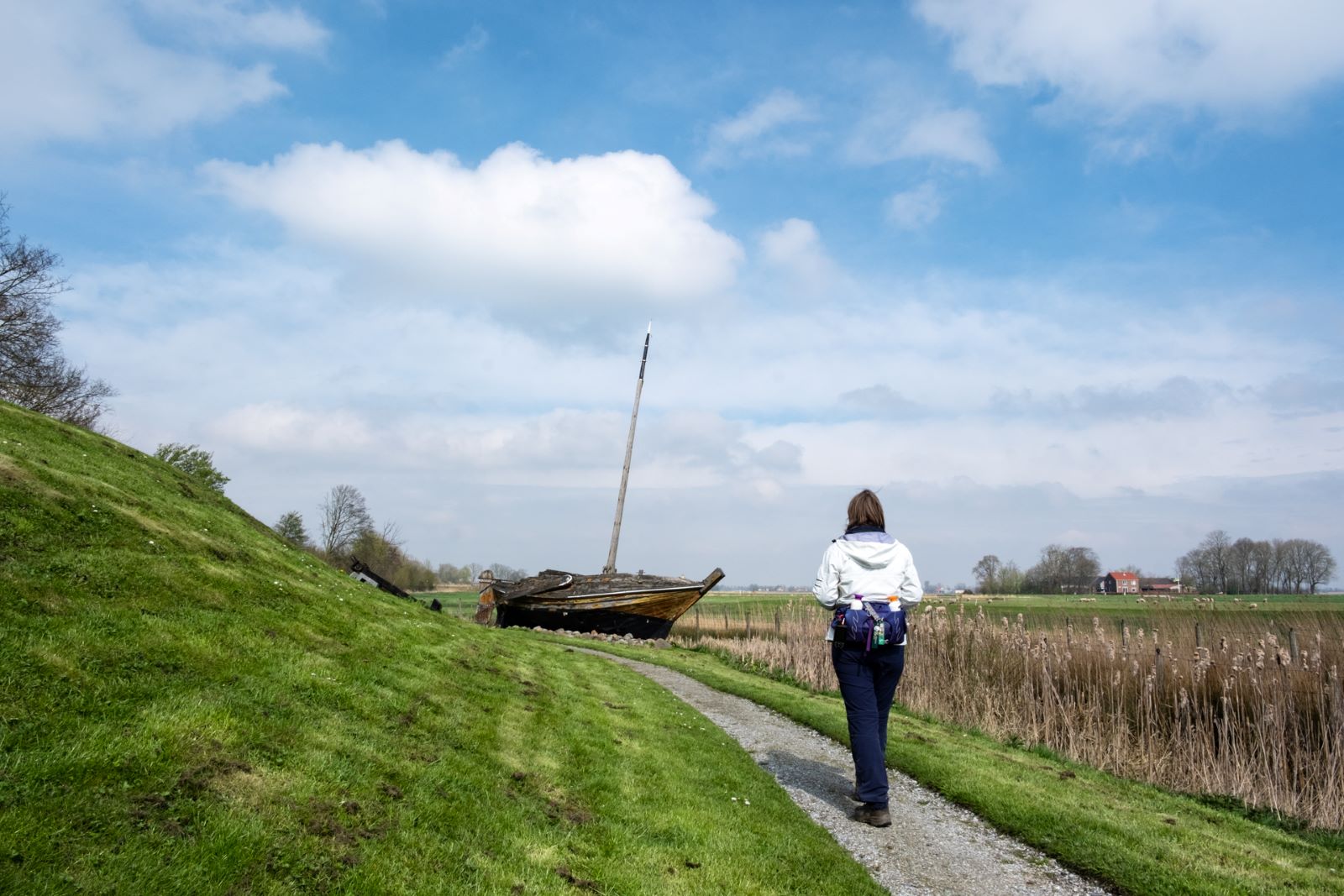 Wandelen In De Ijstijd 10.000 Jaar Strijd Tegen Het Water In Schokland: Wandelen Schokland