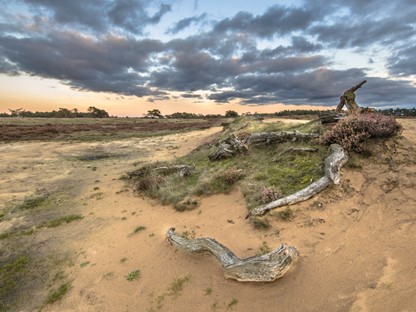 Wandelroute NP De Hoge Veluwe Hoenderloo