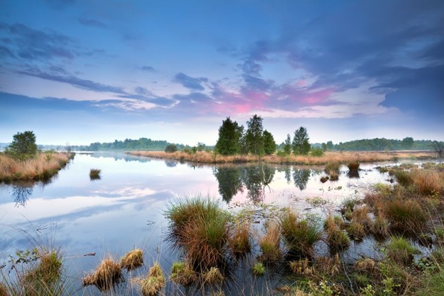 Wandelvakantie Nederland Mooiste Wandelreizen Nederland