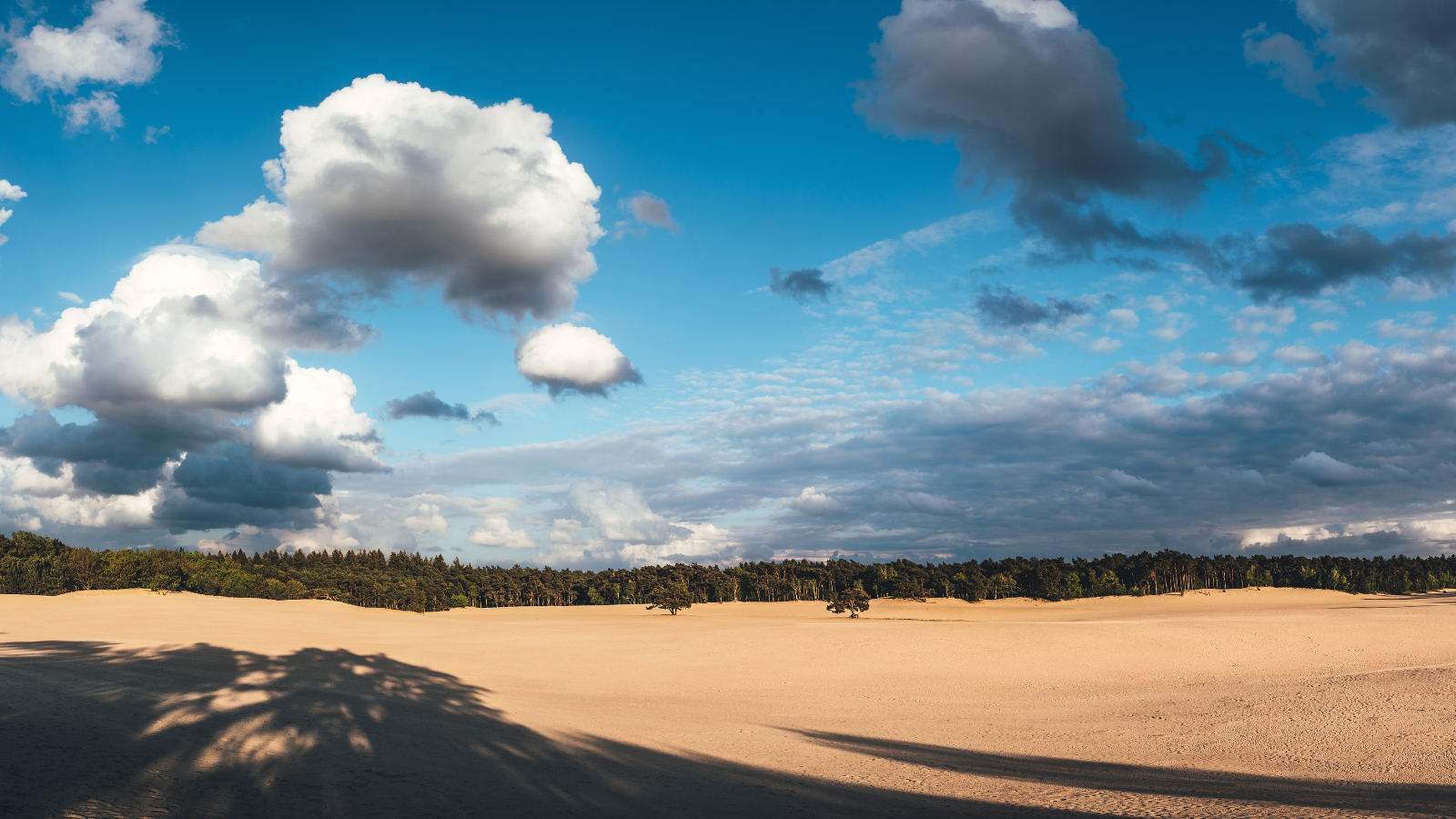 Wandelroute Soesterduinen Lange Duinen