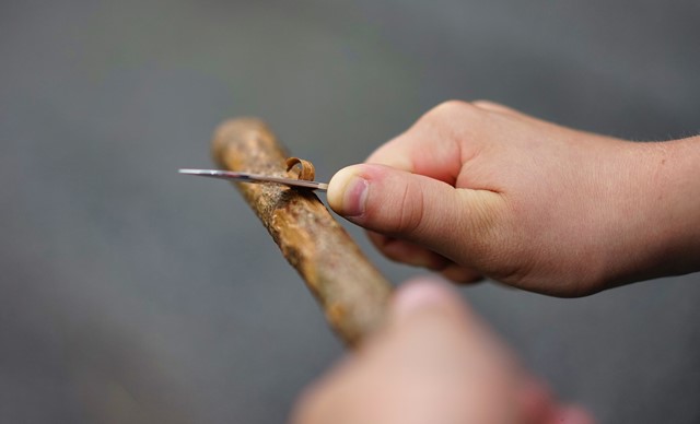 Sophie poeder Spijsverteringsorgaan Zelf een wandelstok maken uit de natuur: tips en regels - Wandel