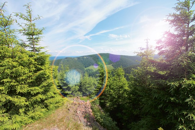  Thüringer Tourismus GmbH