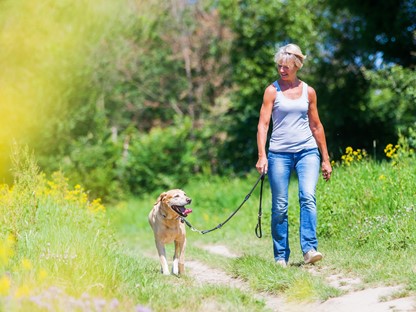 Header | /wandelen-met-je-hond