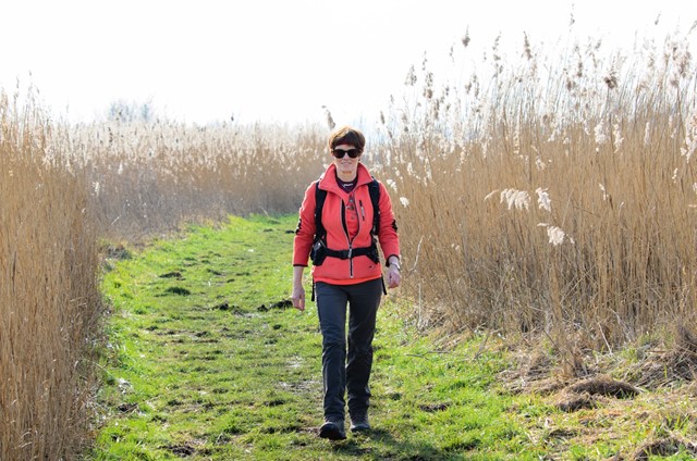 Natuurreservaat Botshol