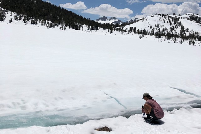 Pacific Crest Trail