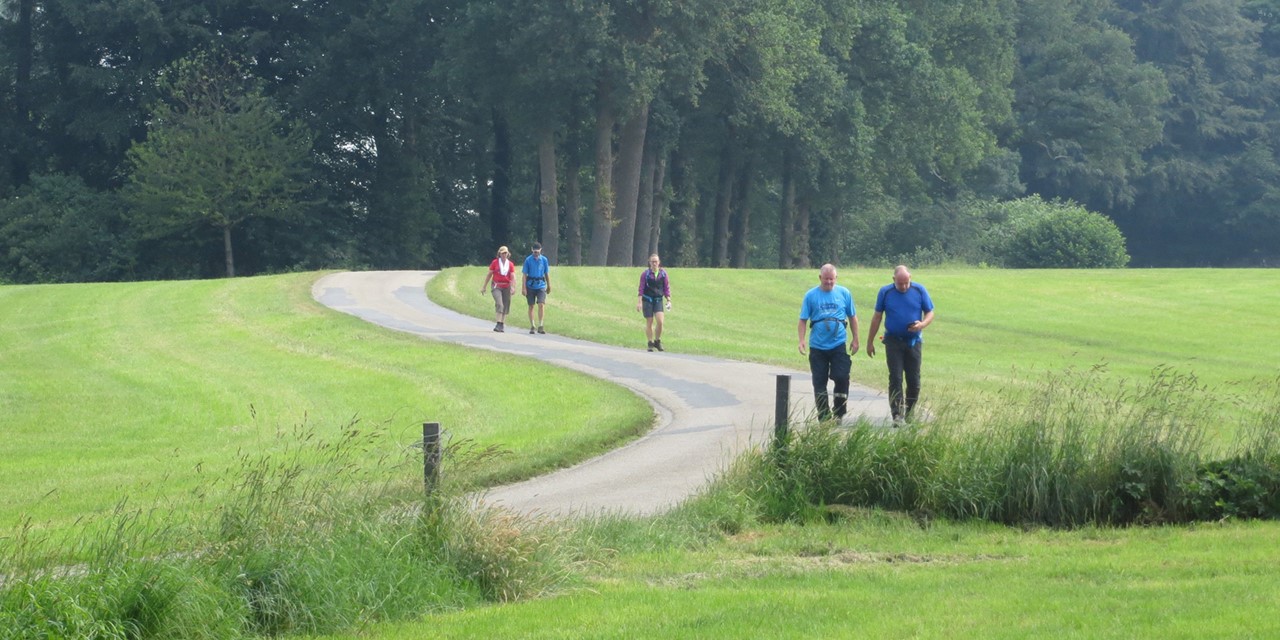 afbeelding van wandelaars in het groene landschap rondom Hengelo.