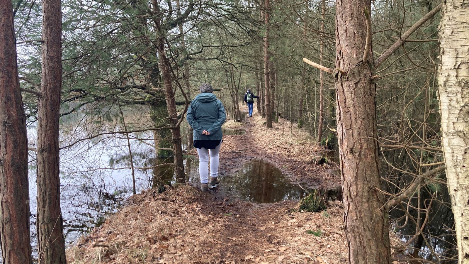 Wandelwoorden Deel 1 Retourneringsrecht: Wandelen vijver