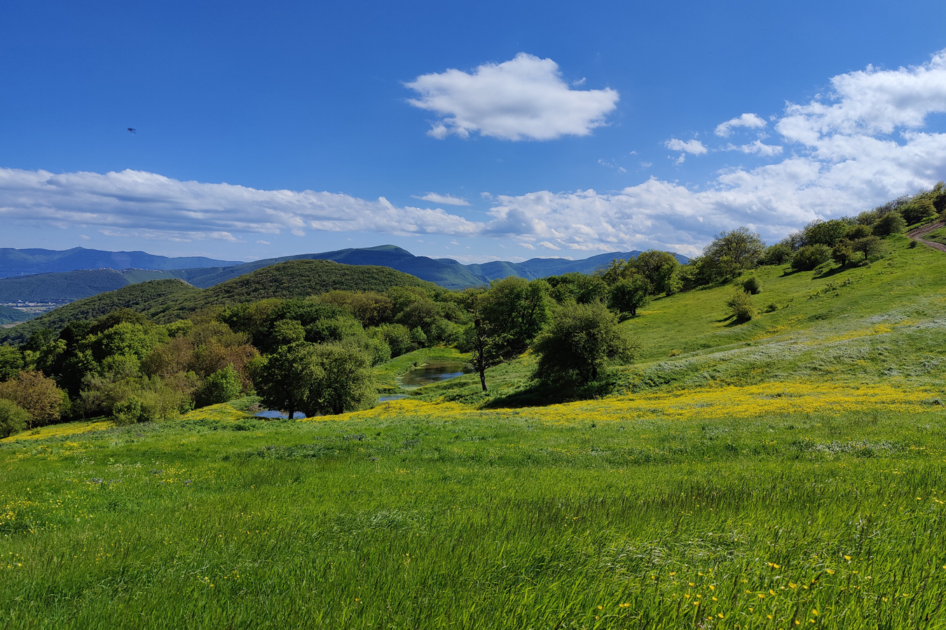 afbeelding van een zomers landschap in Georgië.
