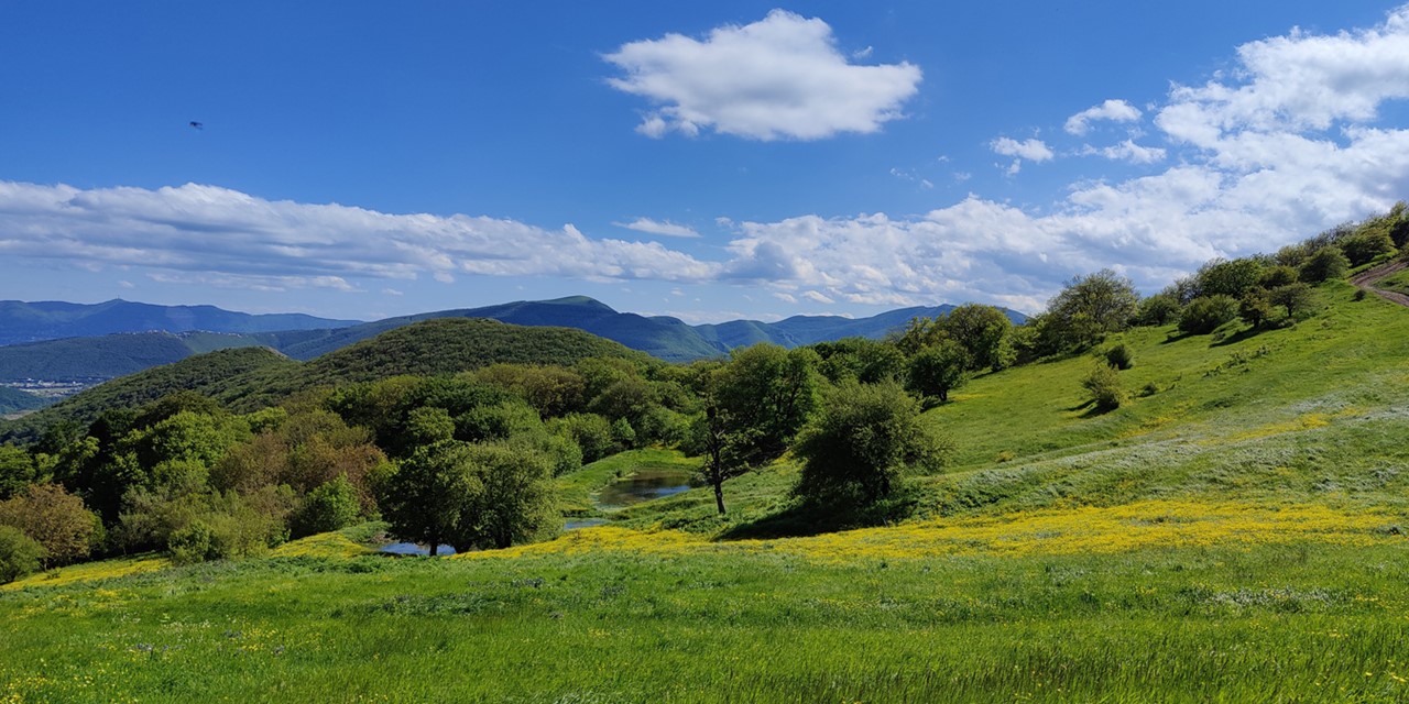 afbeelding van een zomers landschap in Georgië.