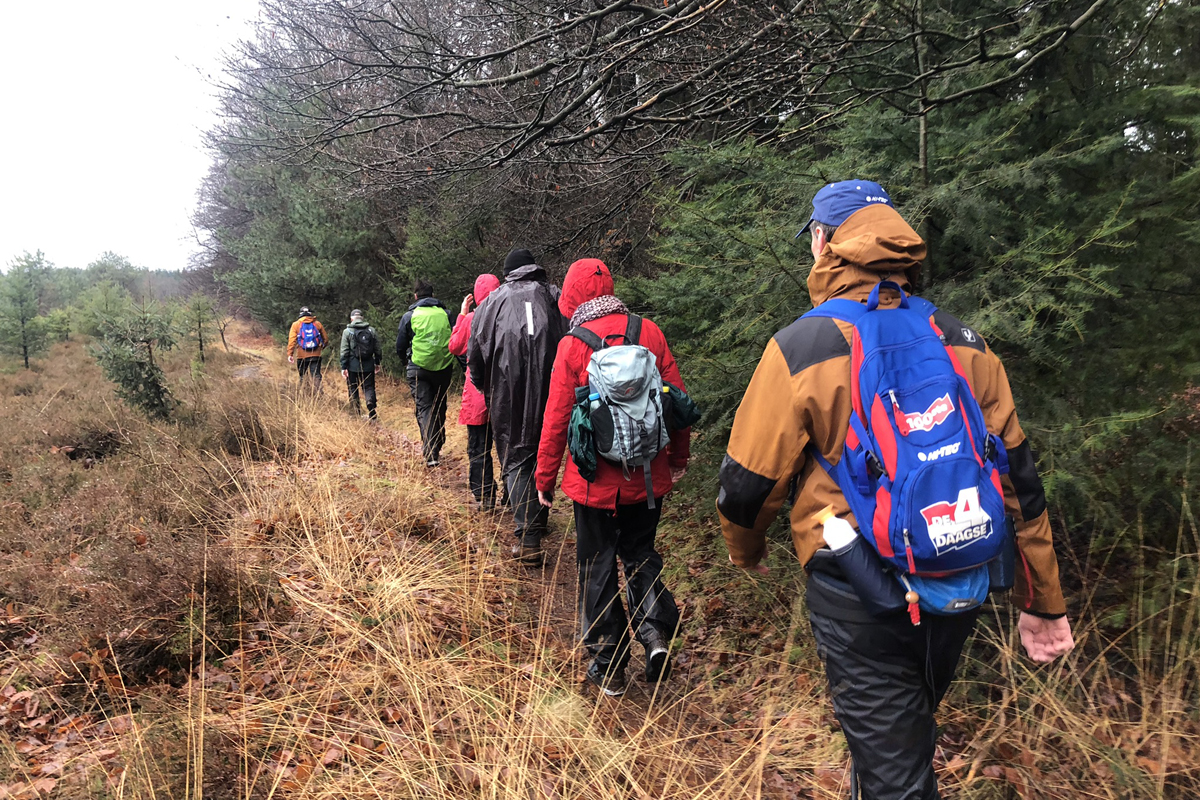afbeelding van een groep wandelaars aan de rand van het bos.