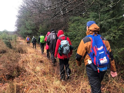 afbeelding van een groep wandelaars aan de rand van het bos.