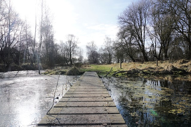 afbeelding van het waterrijke landschap in de Dintelse Gorzen