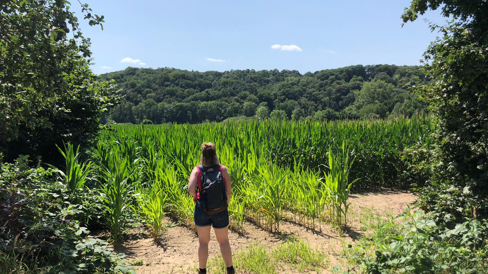 Pieterpad Etappe 17 Millingen