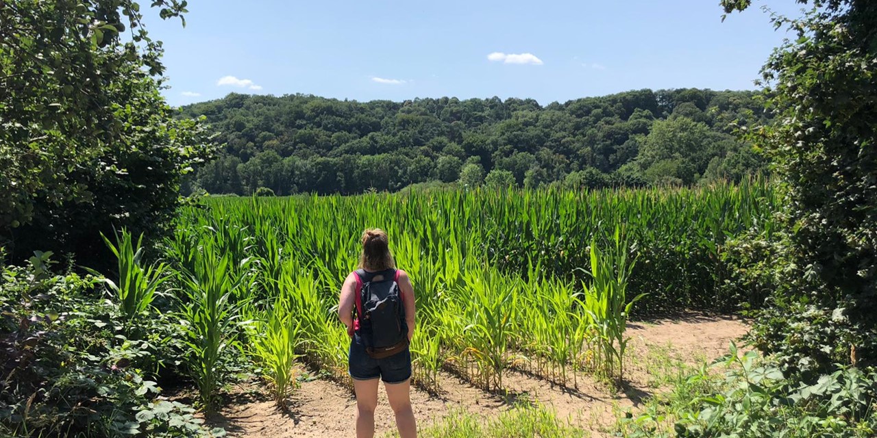 Pieterpad Etappe 17 Millingen