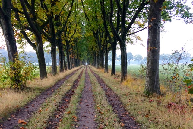 Afbeelding 8 |  Wandelroutes in Noord-Brabant