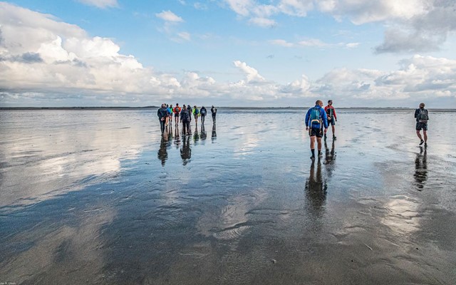Wadlopen. (Foto: © Jan Ubels, Flickr)