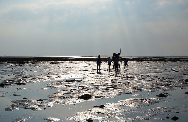 Wadlopers