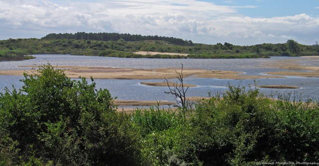 Kennemerduinen