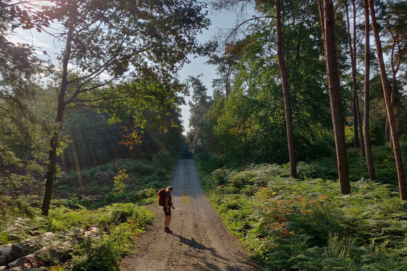 10X Verrassende Grenswandelingen; Vrouw In Bos