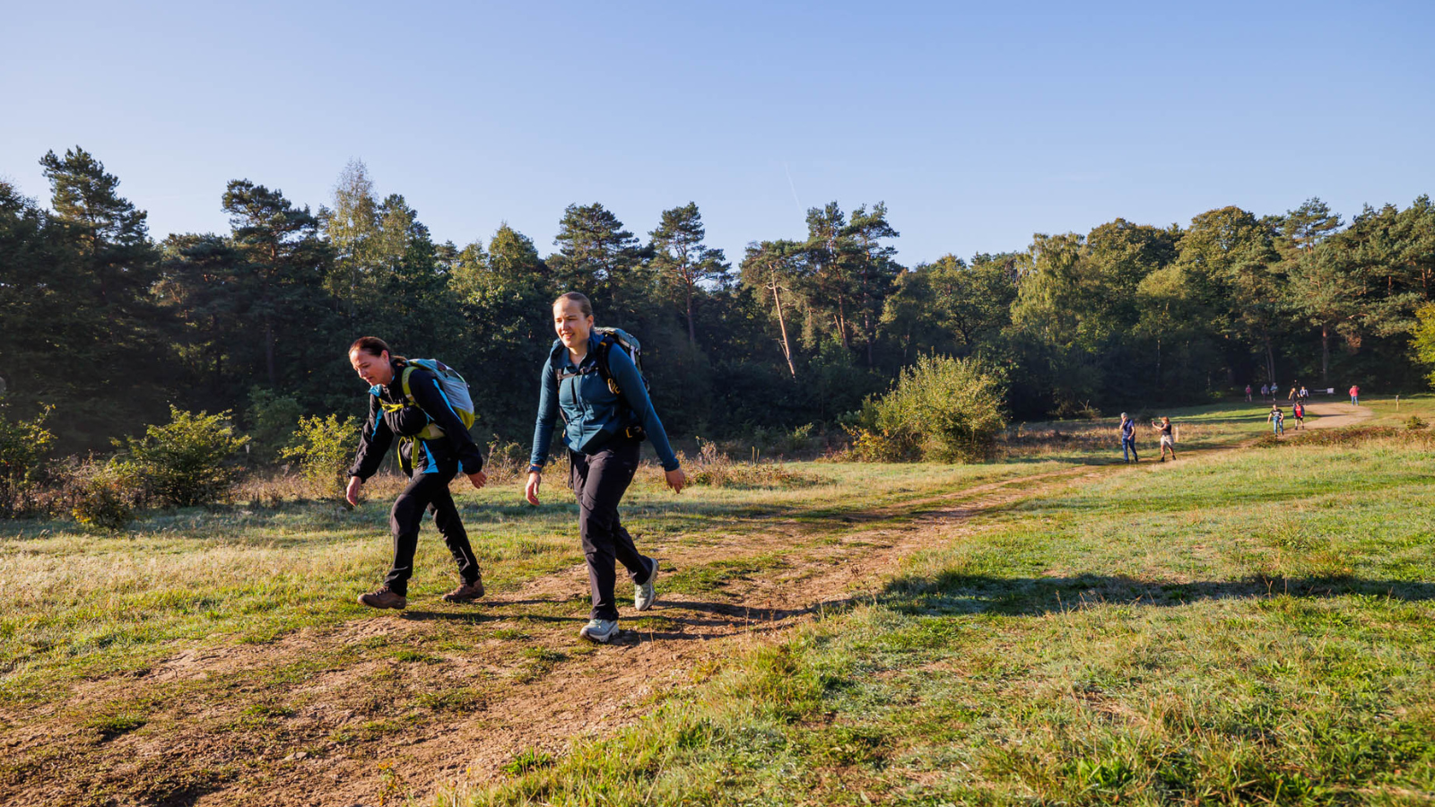 Parkwandeling Noord Brabant Rondje Genderpark (12)
