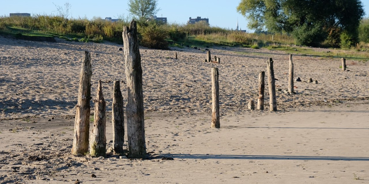 afbeelding van houten palen op het strand.