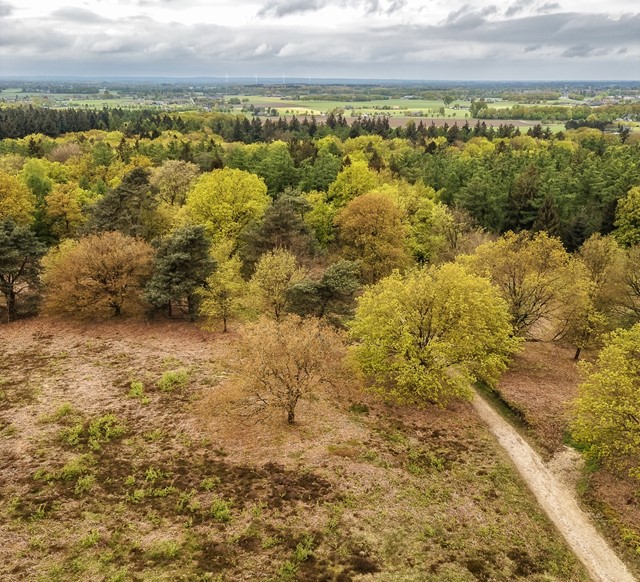 Wandelen in de Achterhoek, de Montferlandse Toppenroute