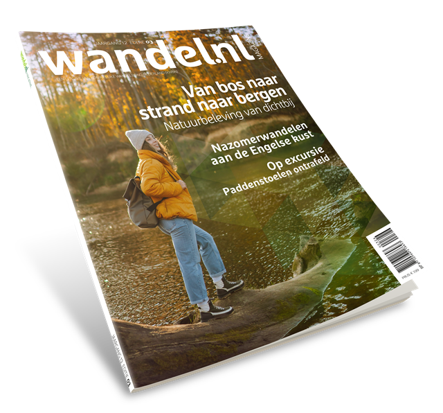 3D COVER WANDEL.NL 3 2026