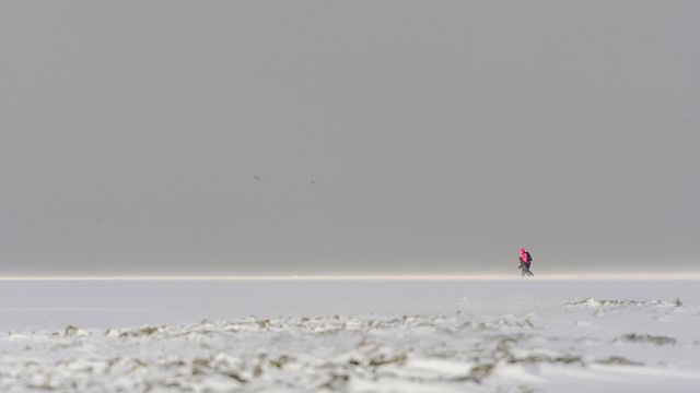 Schiermonnikoog 