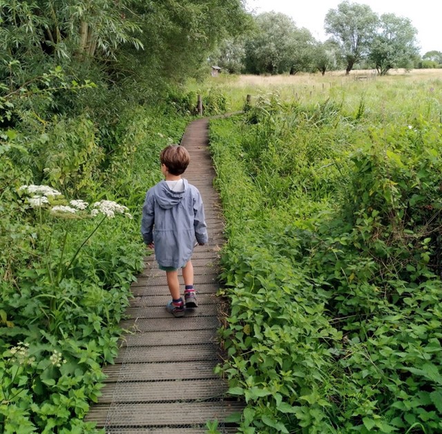 Vlonderpad in de Blankaart