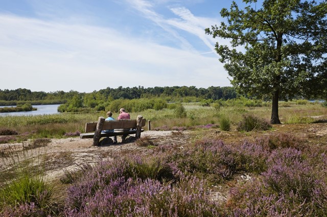 Brabants Vennenpad Een Streekpad Vol Hoogtepunten; Route Kampina