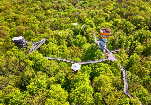 Hainich National Park, Foto: @GNTB/Jens Wegener