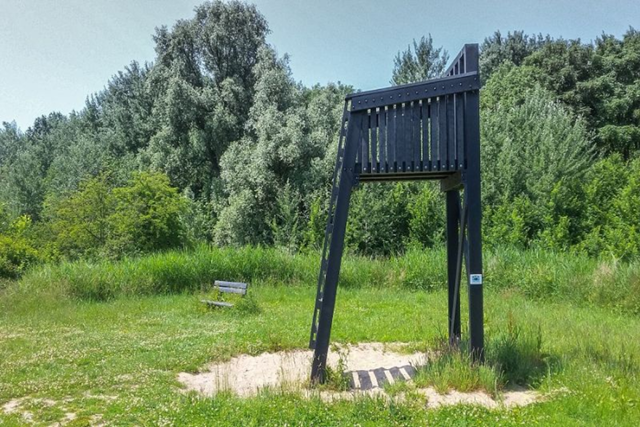 Boswachterspad Zeeland Veerse Bos Uitkijken Vanaf De Hoge Stoel