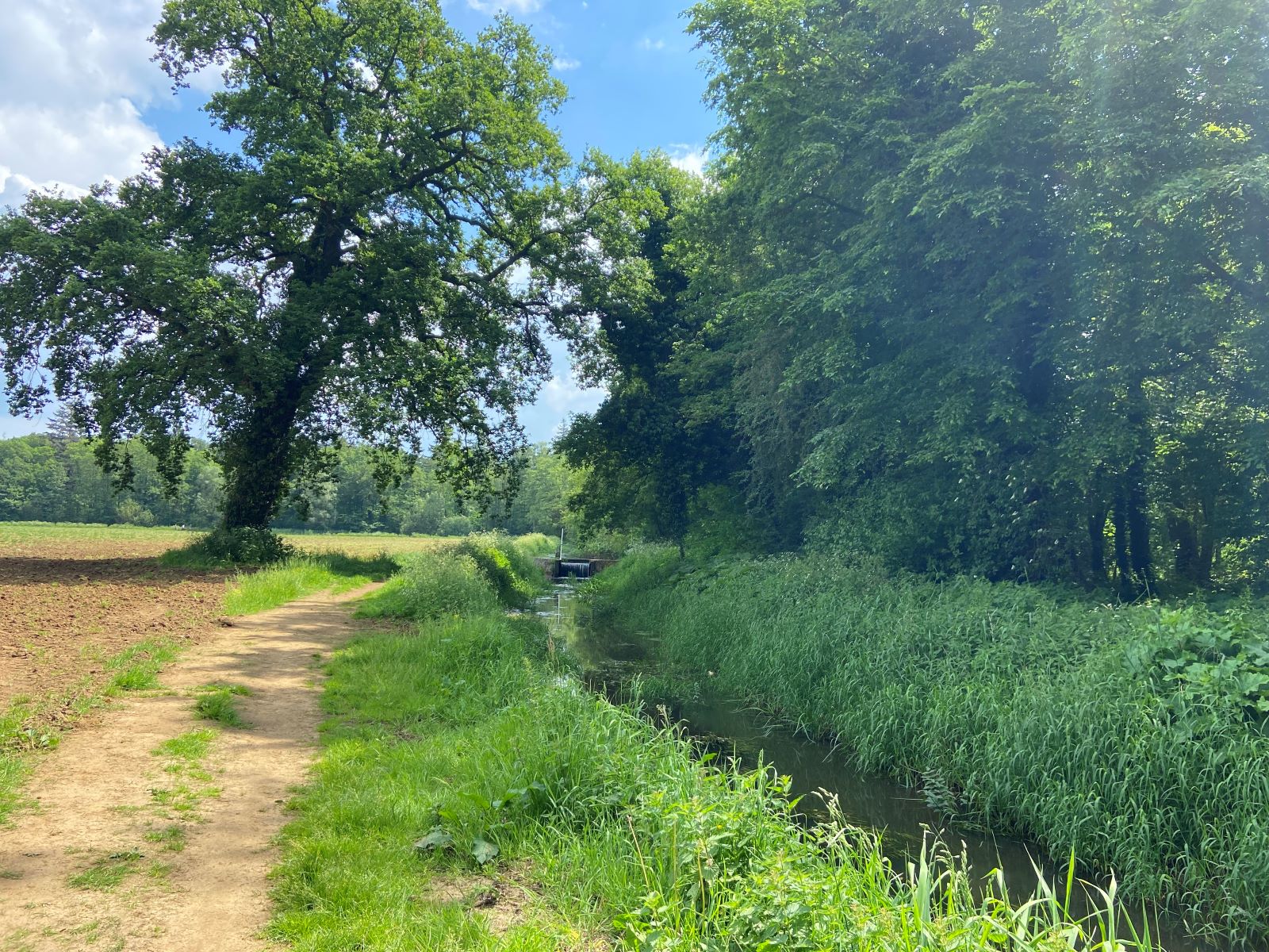 Streekpad Graafschapspad Wandelen Over Landgoederen, Smalle Paadjes Én Langs Kastelen: Weiland Doetinchem