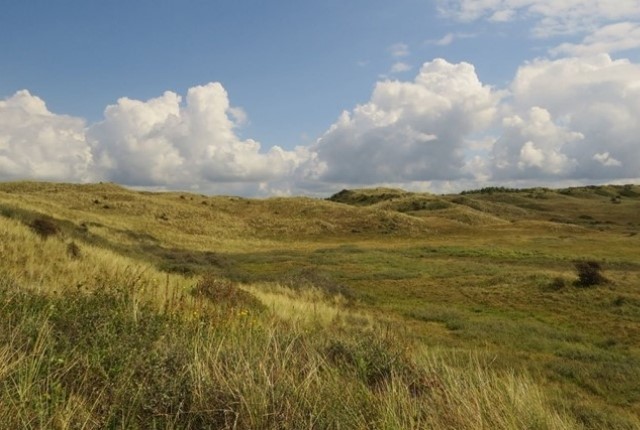 Wandelpad door het Noordhollands Duinreservaat bij Castricum