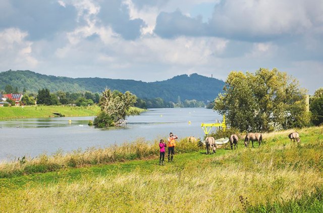 Natuurgebied Eijsder Beemden