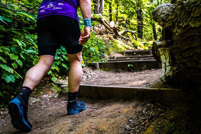 wandelaar loopt een trap omhoog in het bos.