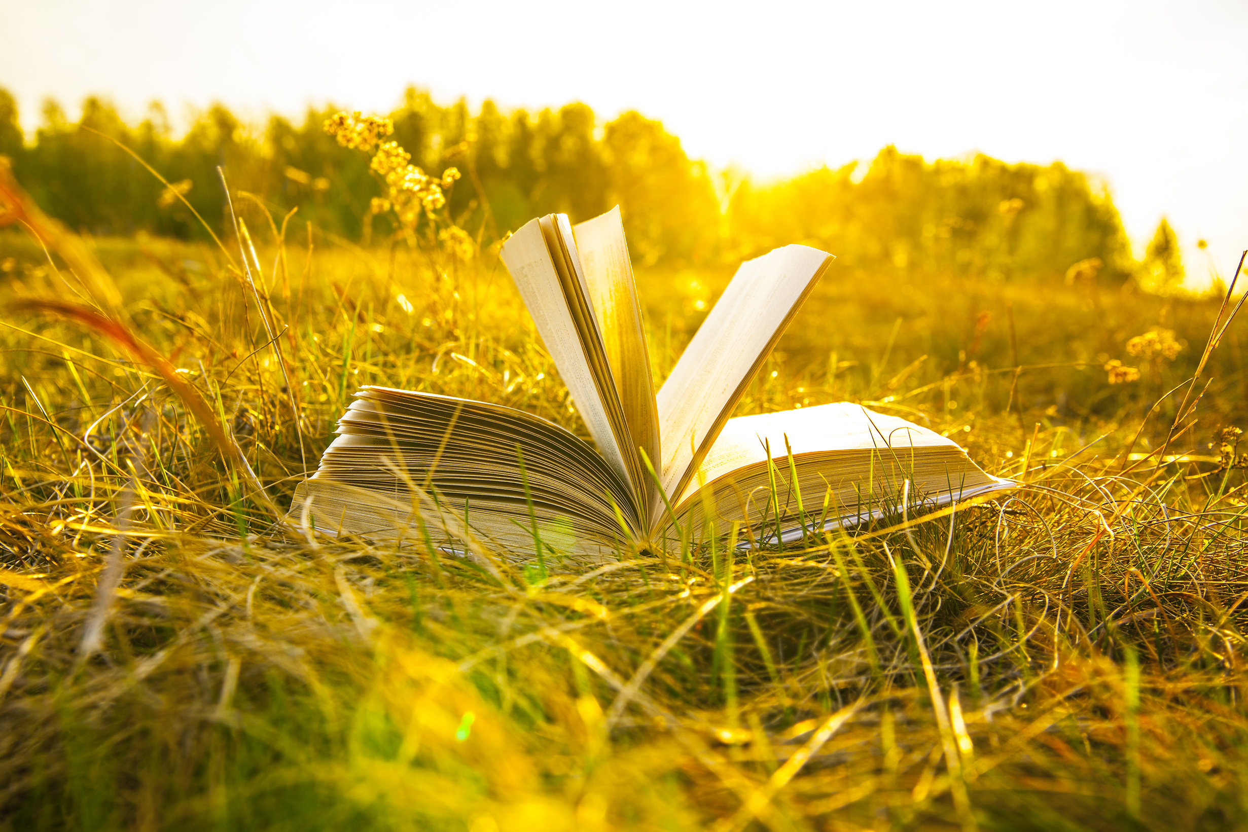 Boek In Gras