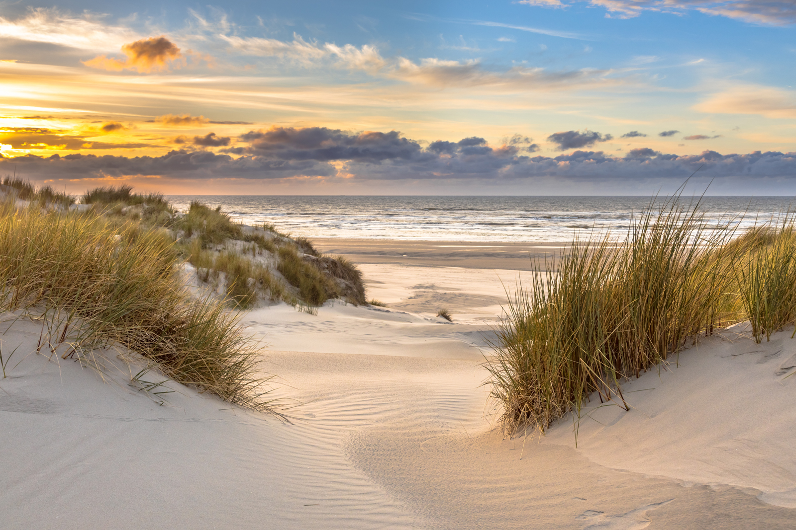 zandstrand en duingras met de zee op de horizon.