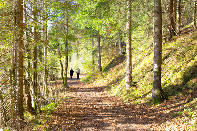 Wandelen Met Griep, Koorts Of Verkoudheid Rustig Opbouwen