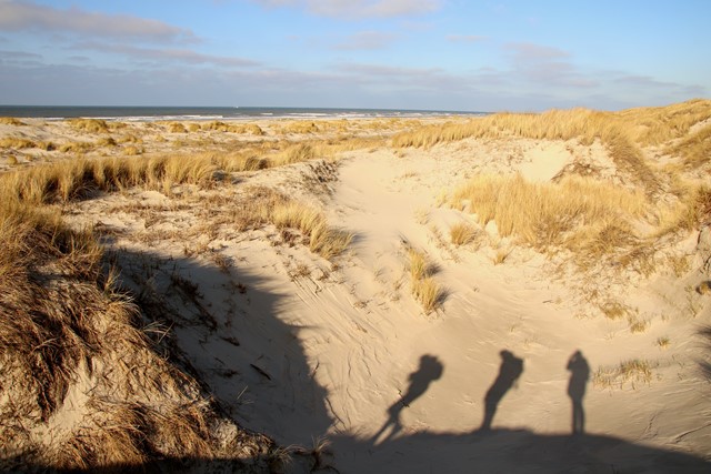 de schaduw van drie wandelaars in een duin op Vlieland.