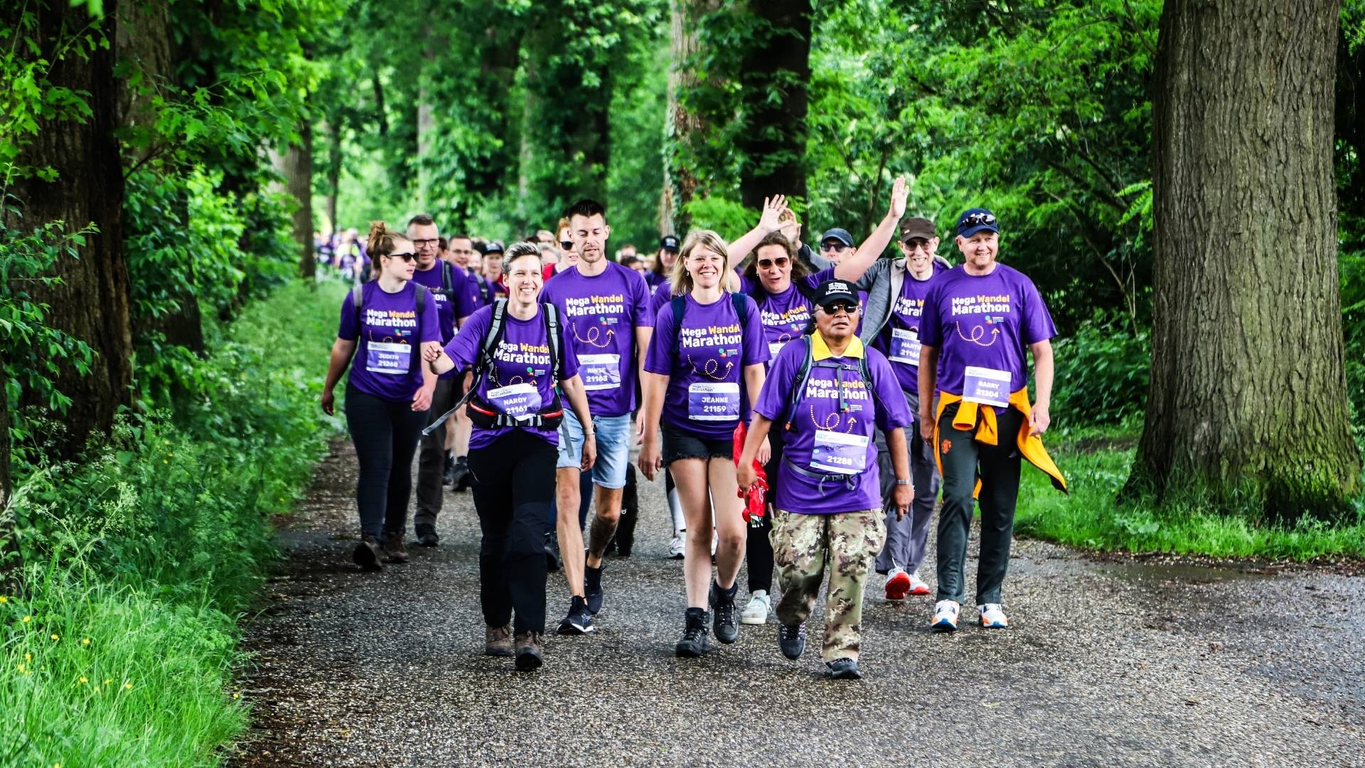 Foto Mega Wandel Marathon met een groep wandelende mensen in paarse tshirts